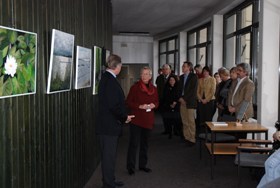 Kunstausstellung Brüggemann