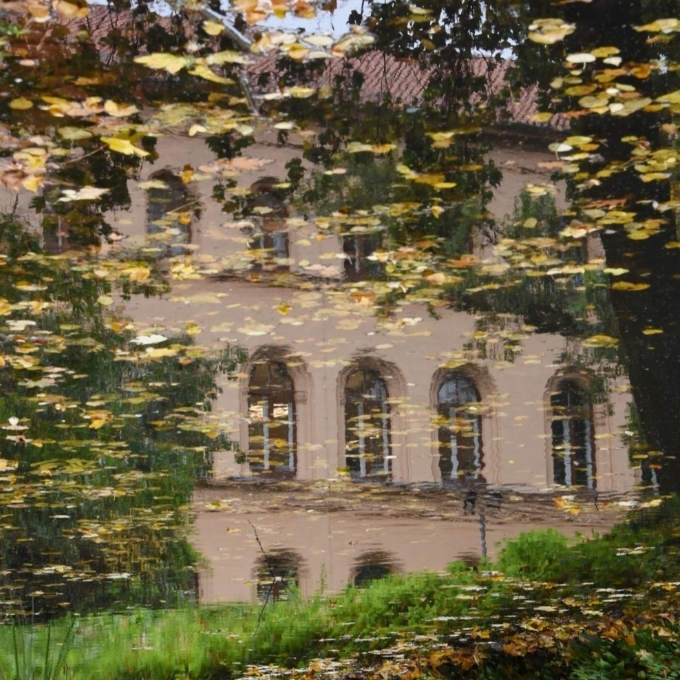 Das Foto zeigt das Oberlandesgericht Celle.