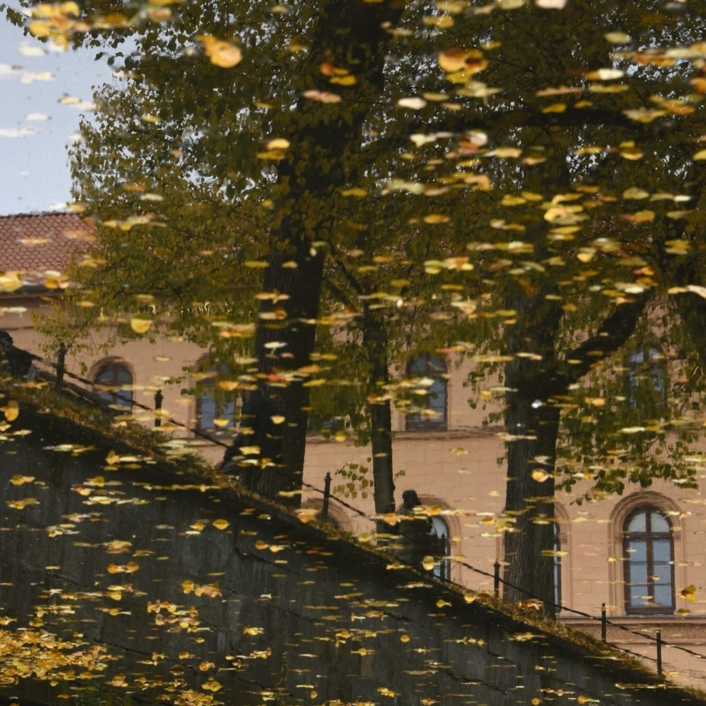 Das Foto zeigt das Oberlandesgericht Celle.